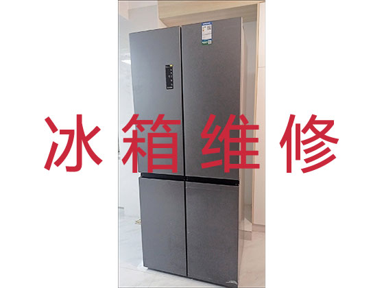 东莞专业电冰箱安装